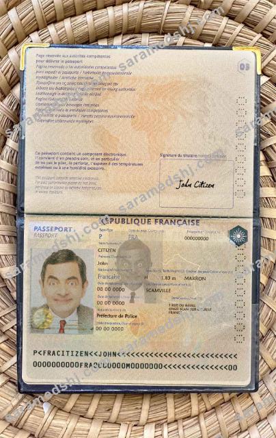 France passport version 2 photo look